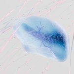 Securing digital environments with ai-enhanced